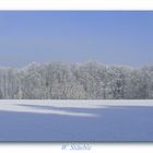 Winterfrost