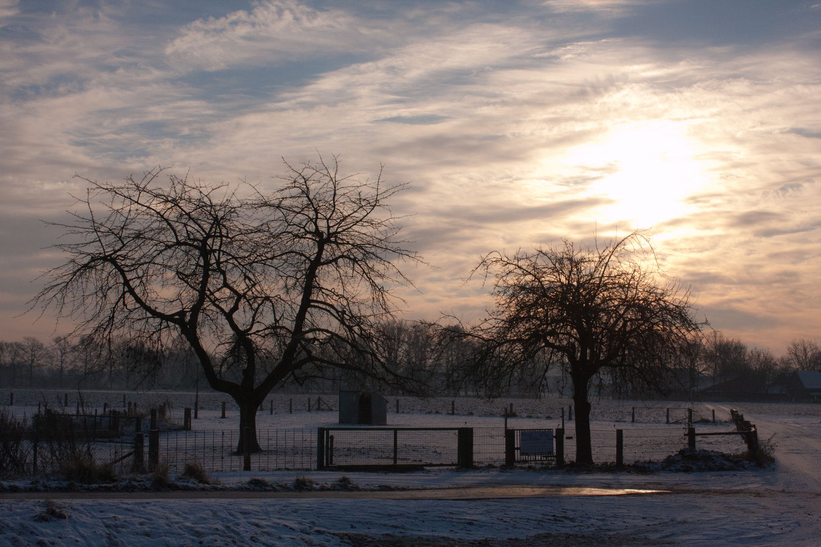 Winterfrüh