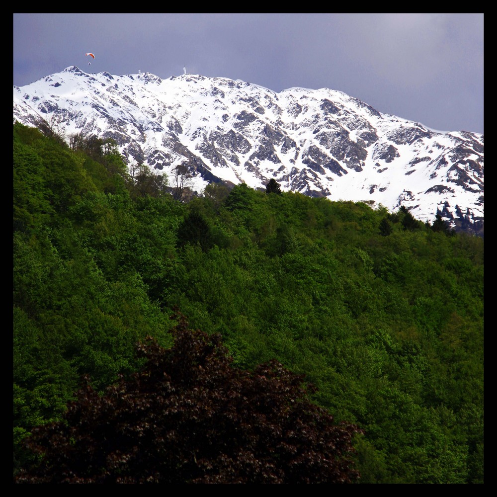 Winterfrühling