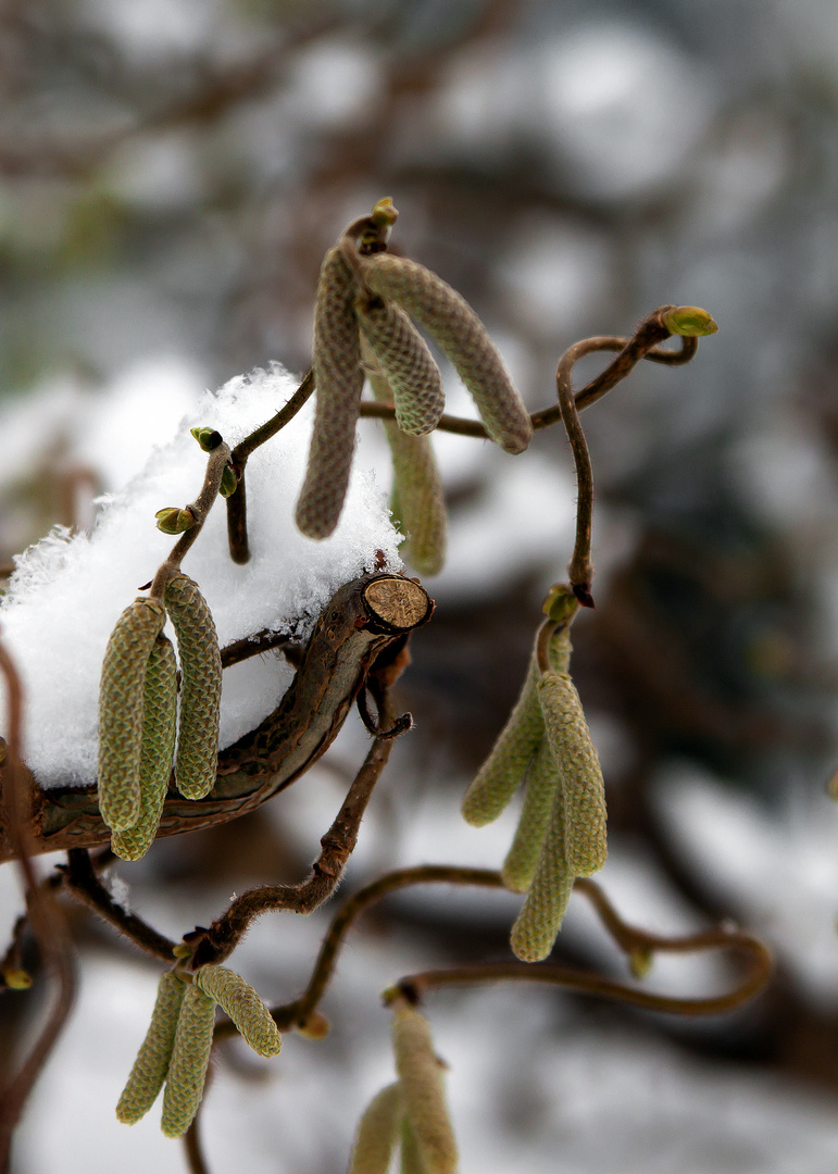 Winter+Frühling