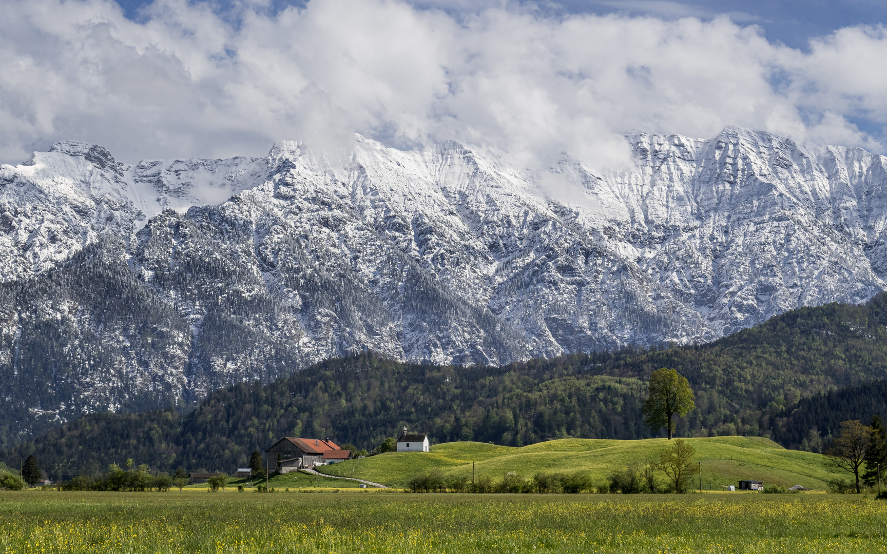 Winterfrühling