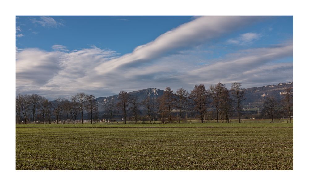 Winterfrühling...