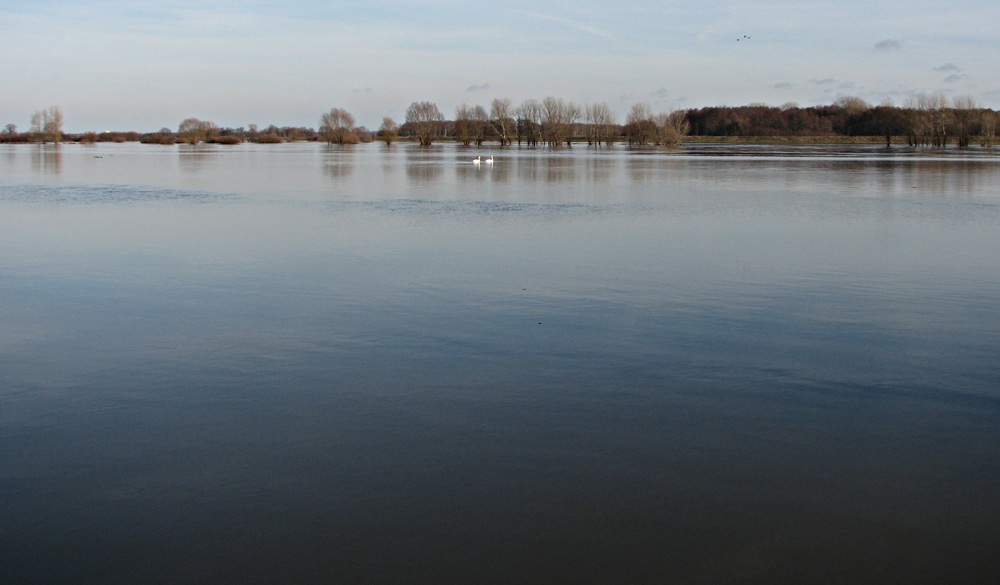 Winterfrühling