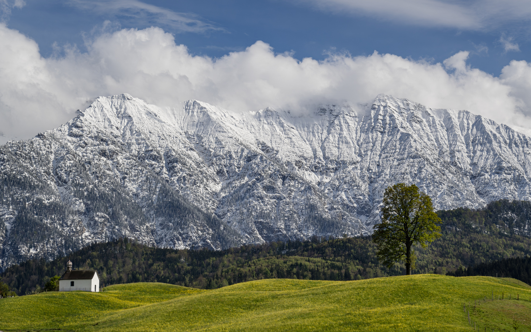 Winterfrühling III