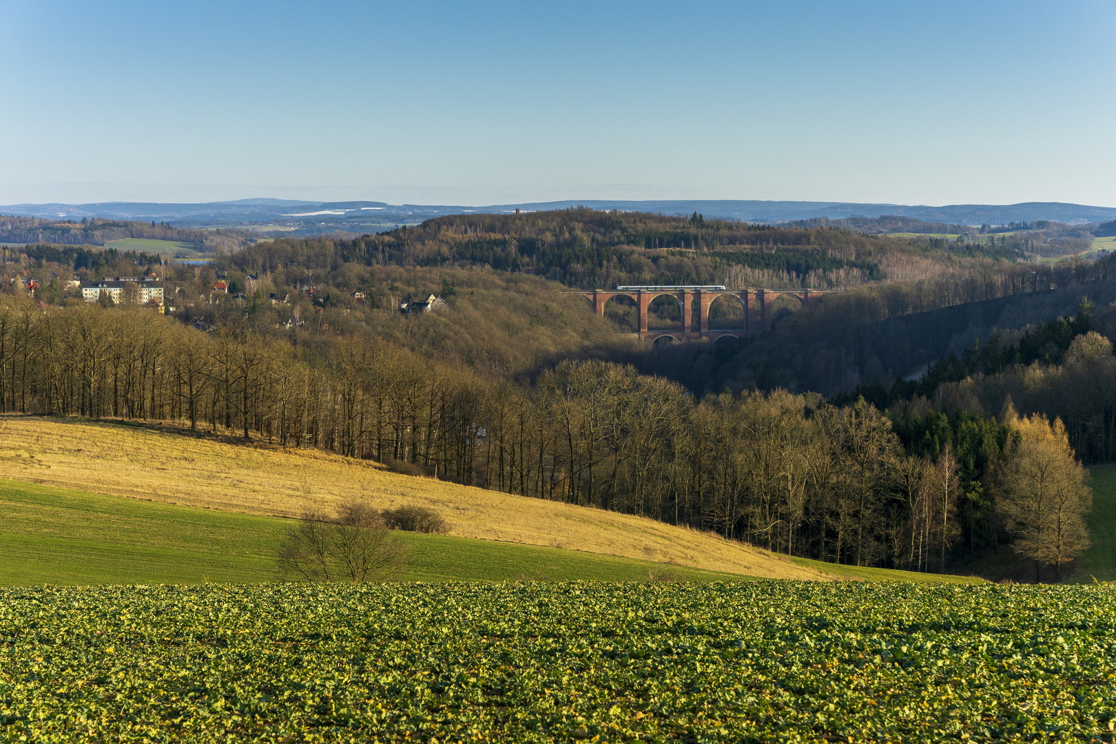 Winterfrühling im Vogtland