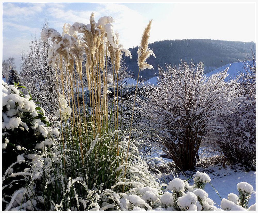 winter.garten... Foto & Bild jahreszeiten, winter, draussen Bilder