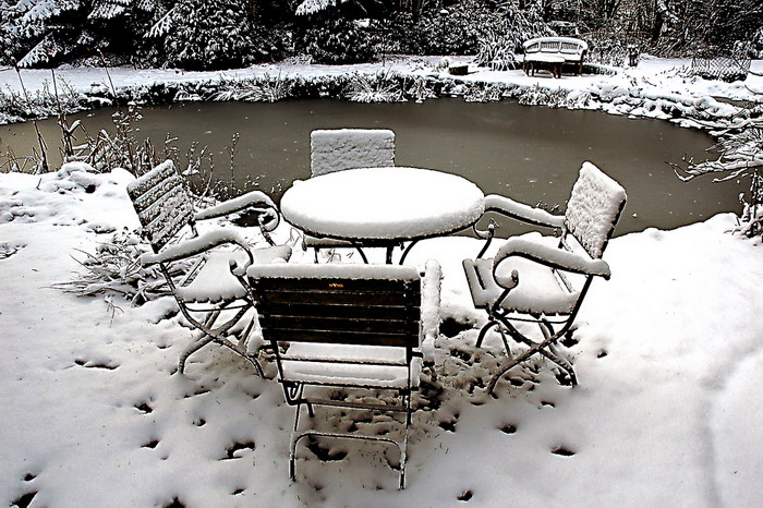 Wintergarten von Johann Janssen