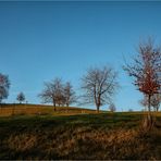 "Winter"garten