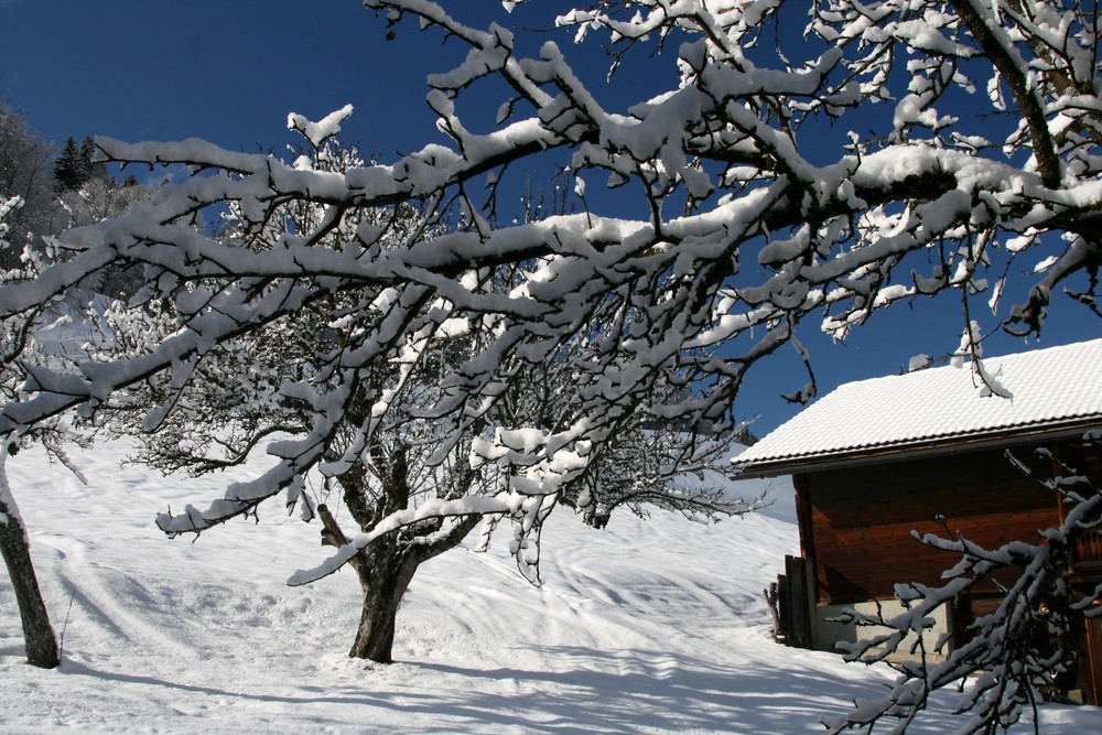 Wintergarten...