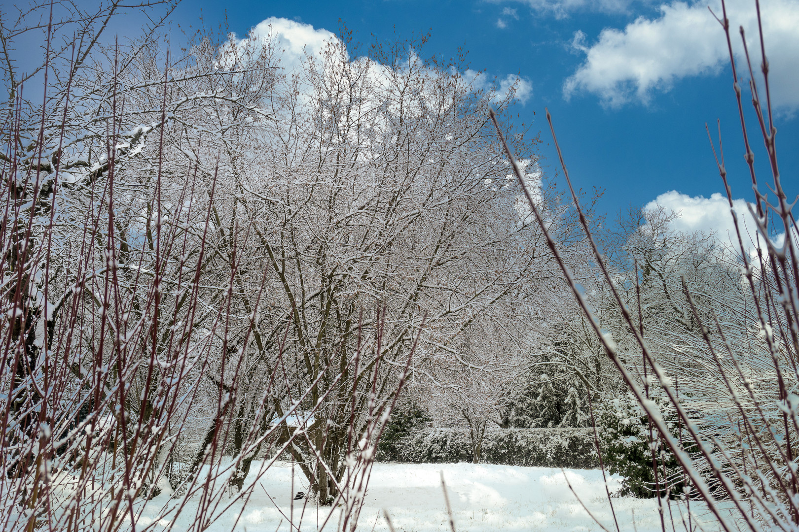 Wintergarten