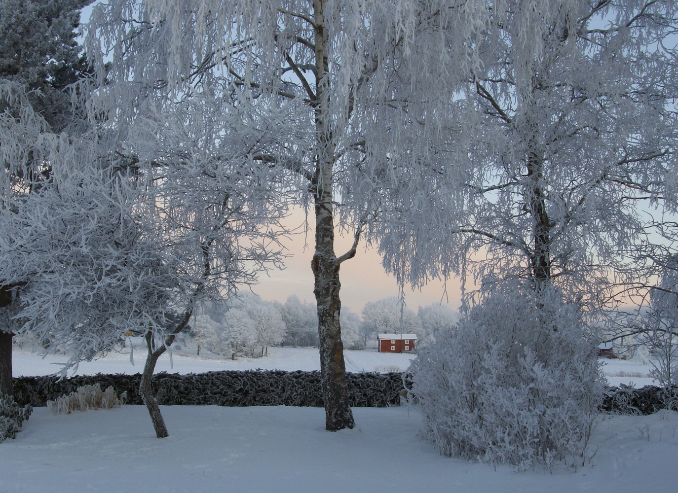 Wintergarten