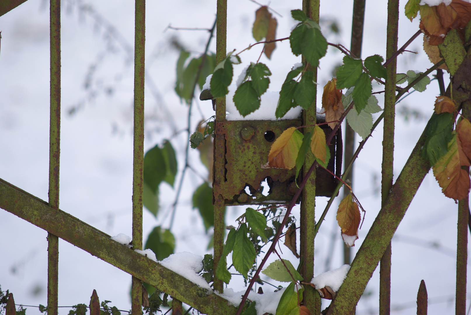 Wintergarten