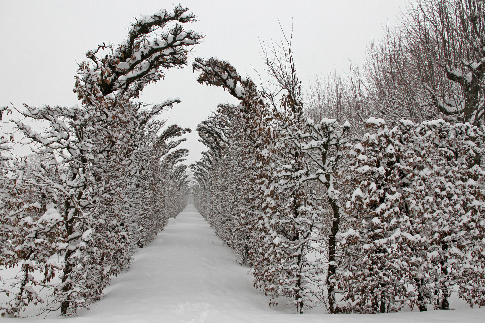 Wintergarten