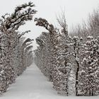 Wintergarten