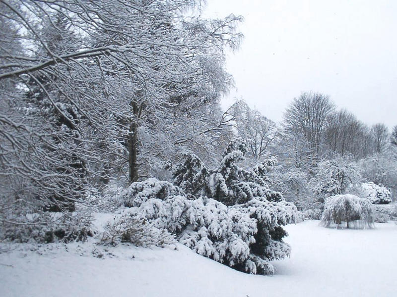 Wintergarten