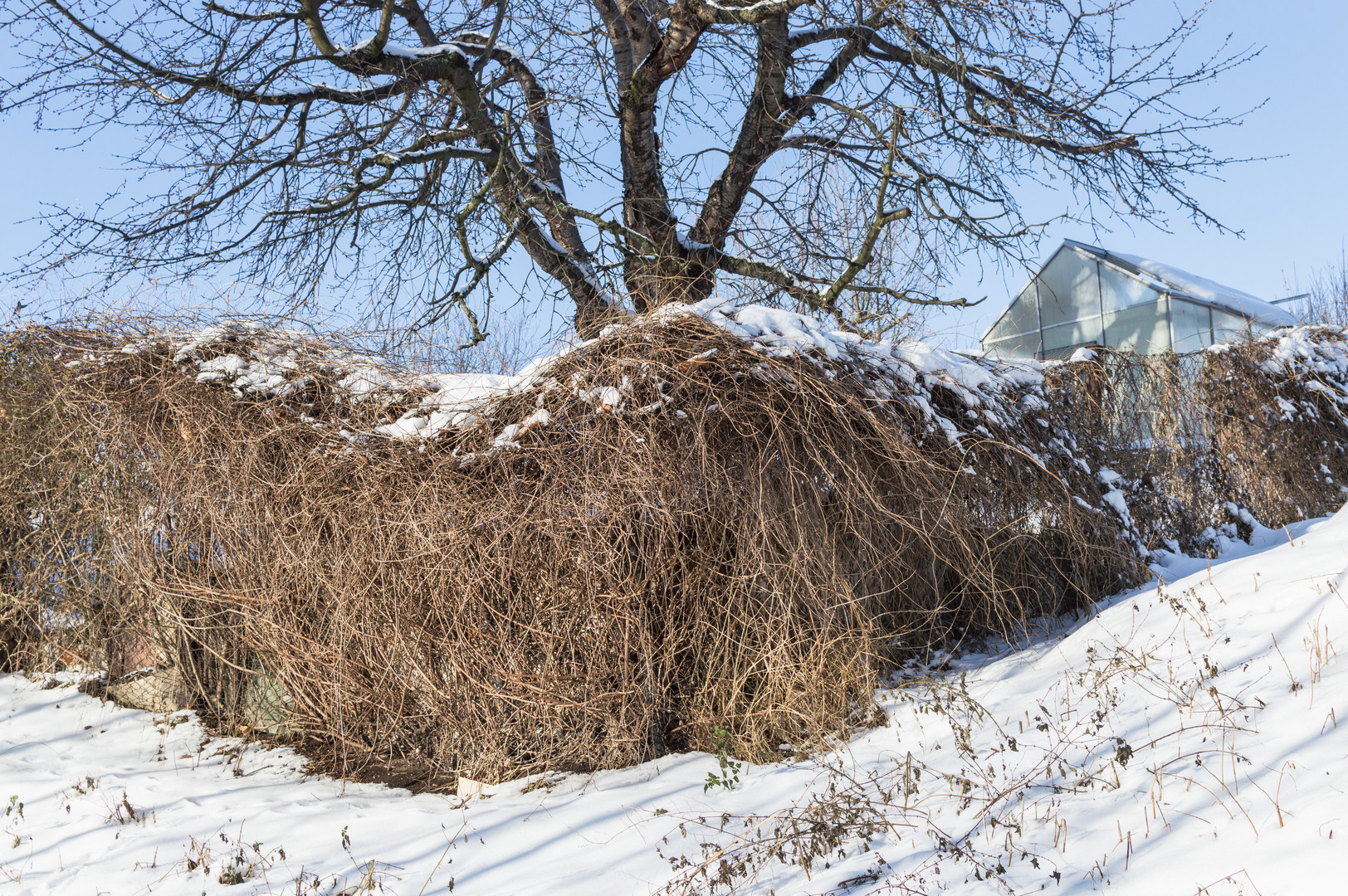 Wintergarten