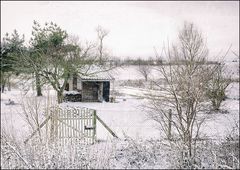 Wintergarten