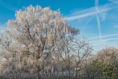 Wintergarten