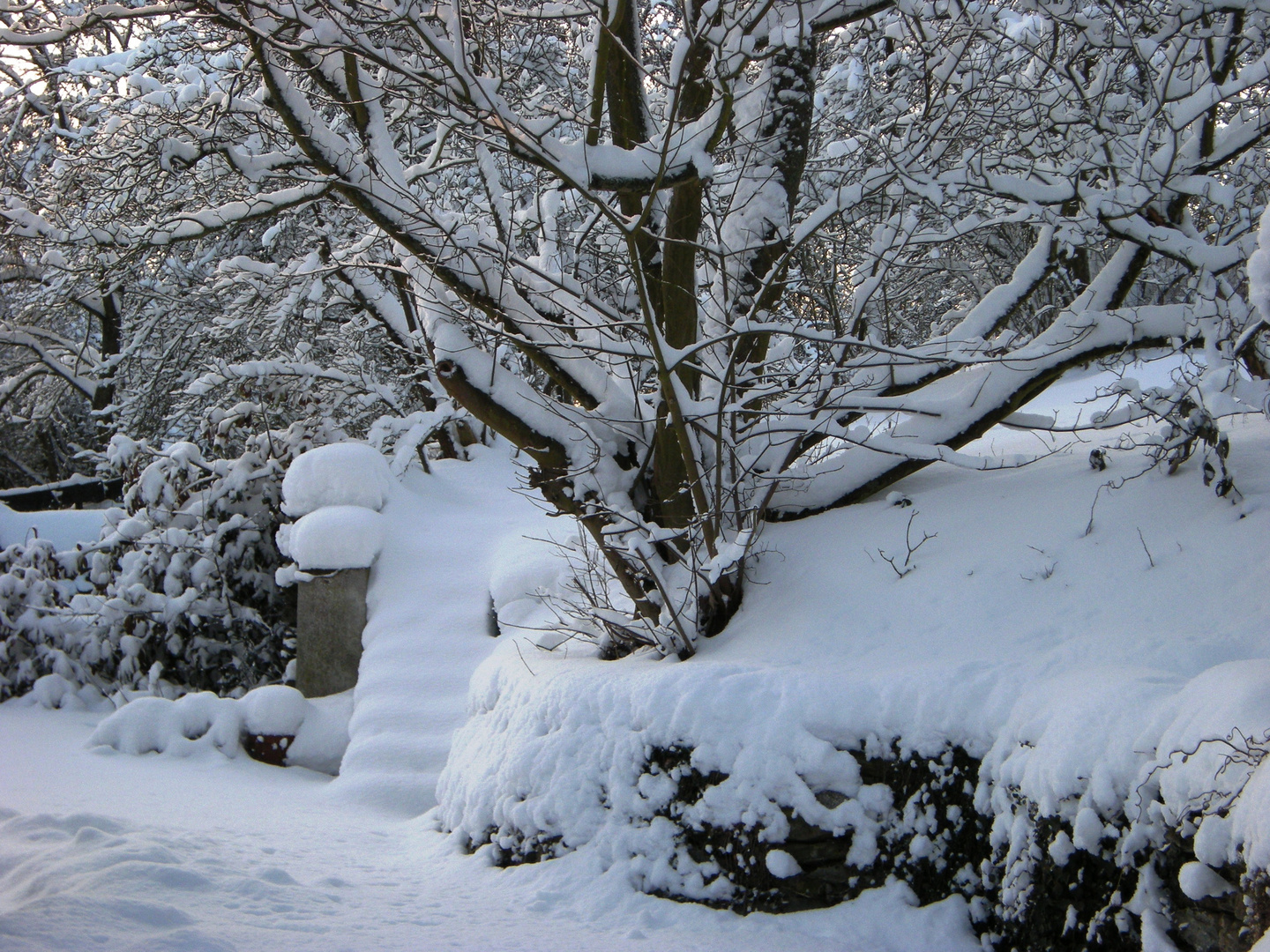 Wintergarten