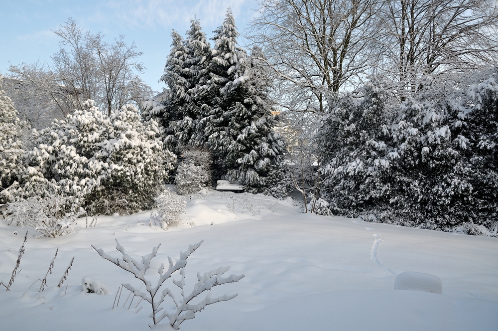 Wintergarten