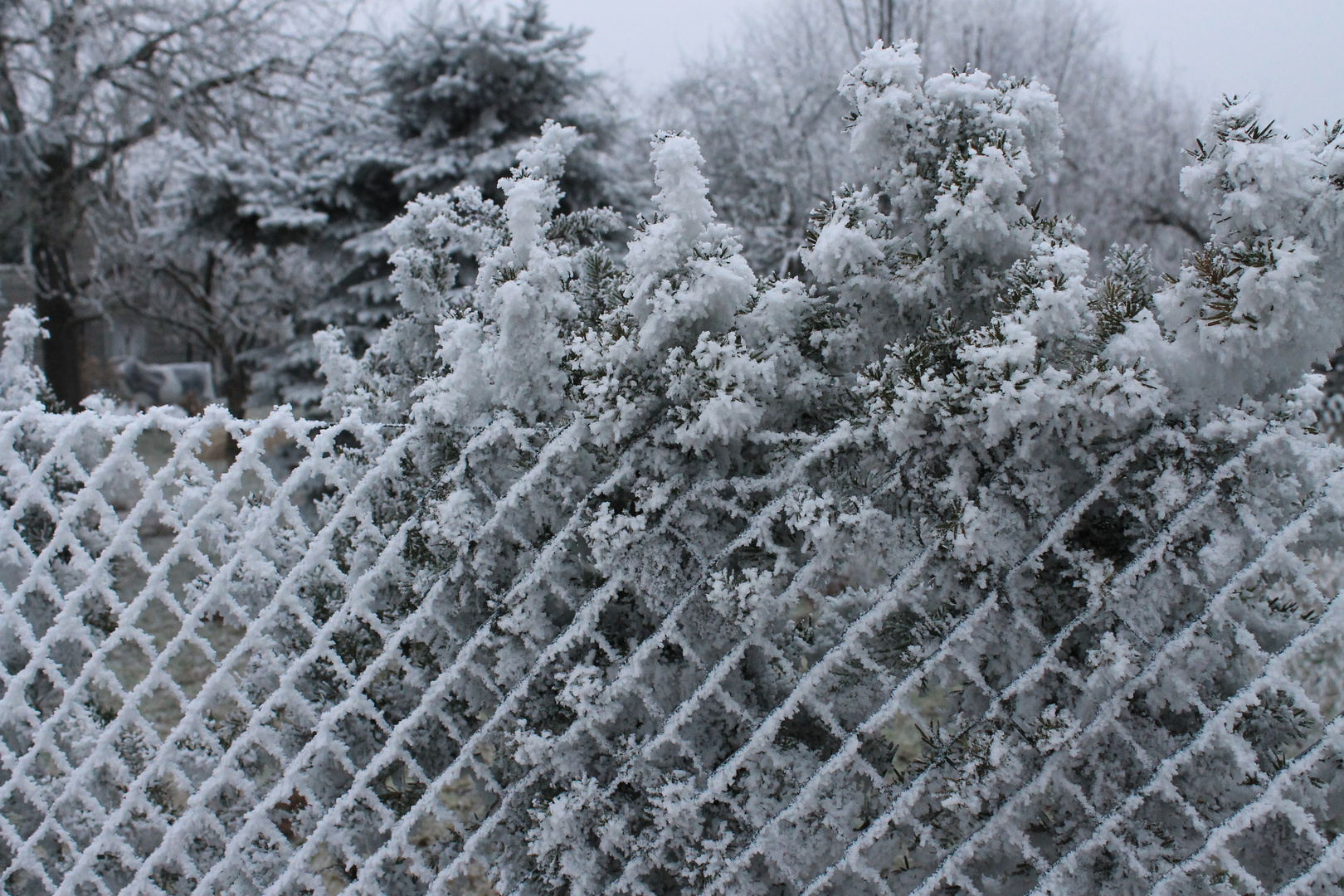 Wintergarten