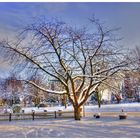 Wintergarten in Porta Westfalica-Nammen