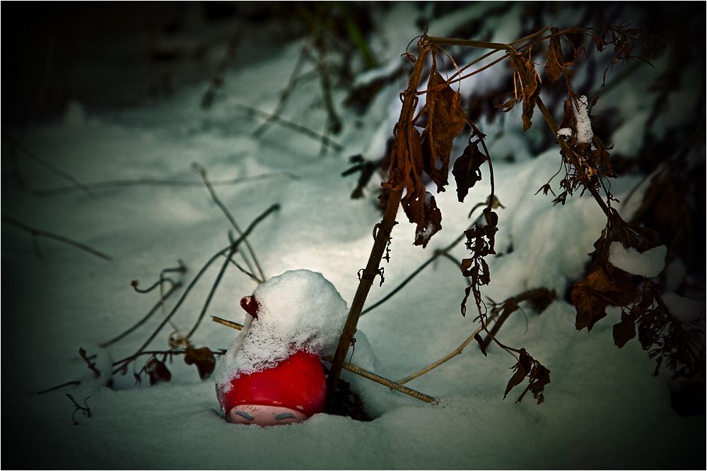 Wintergartenwächter Zwergi ...