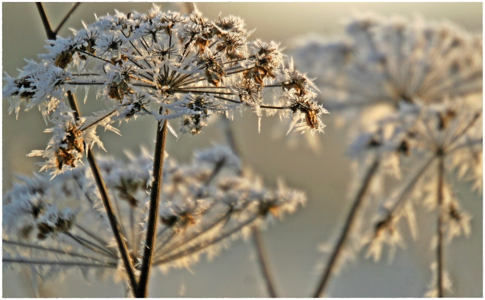 Wintergedanken var