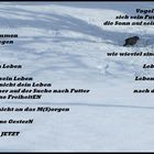 Wintergedicht