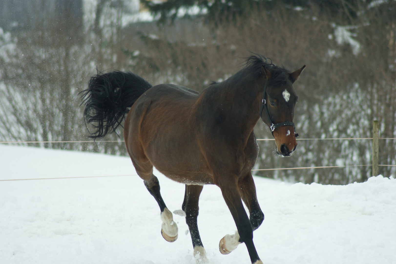 "Wintergefühle"