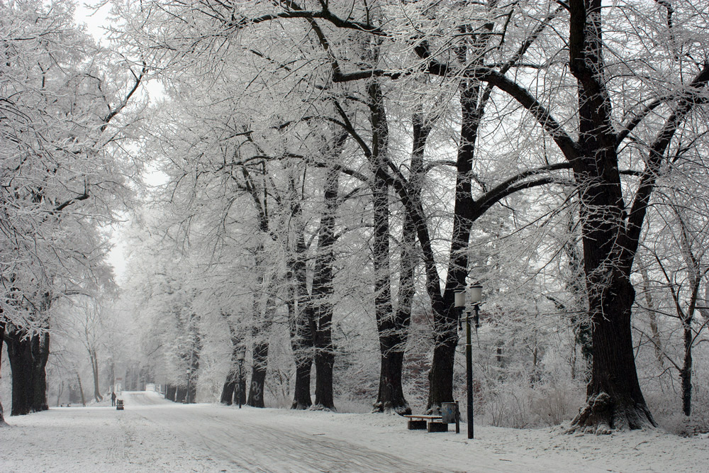 Wintergefühle...