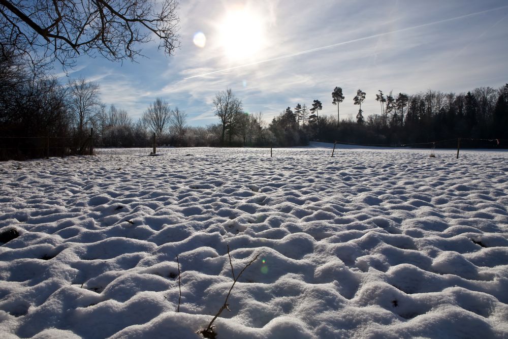 Winter~Gegenlicht