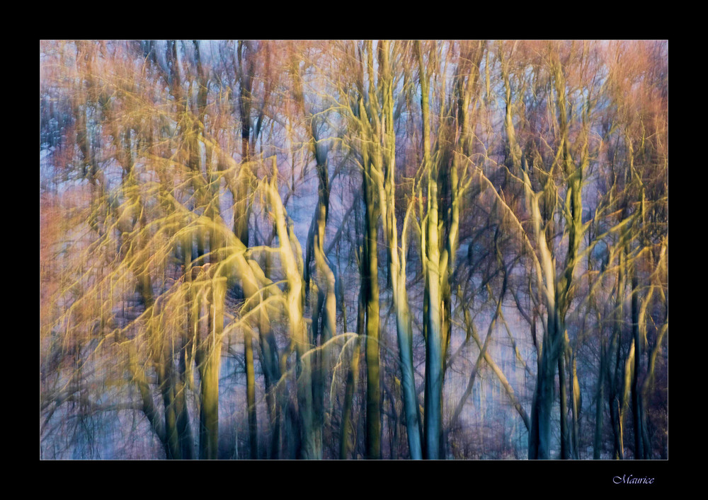 "Wintergemälde"