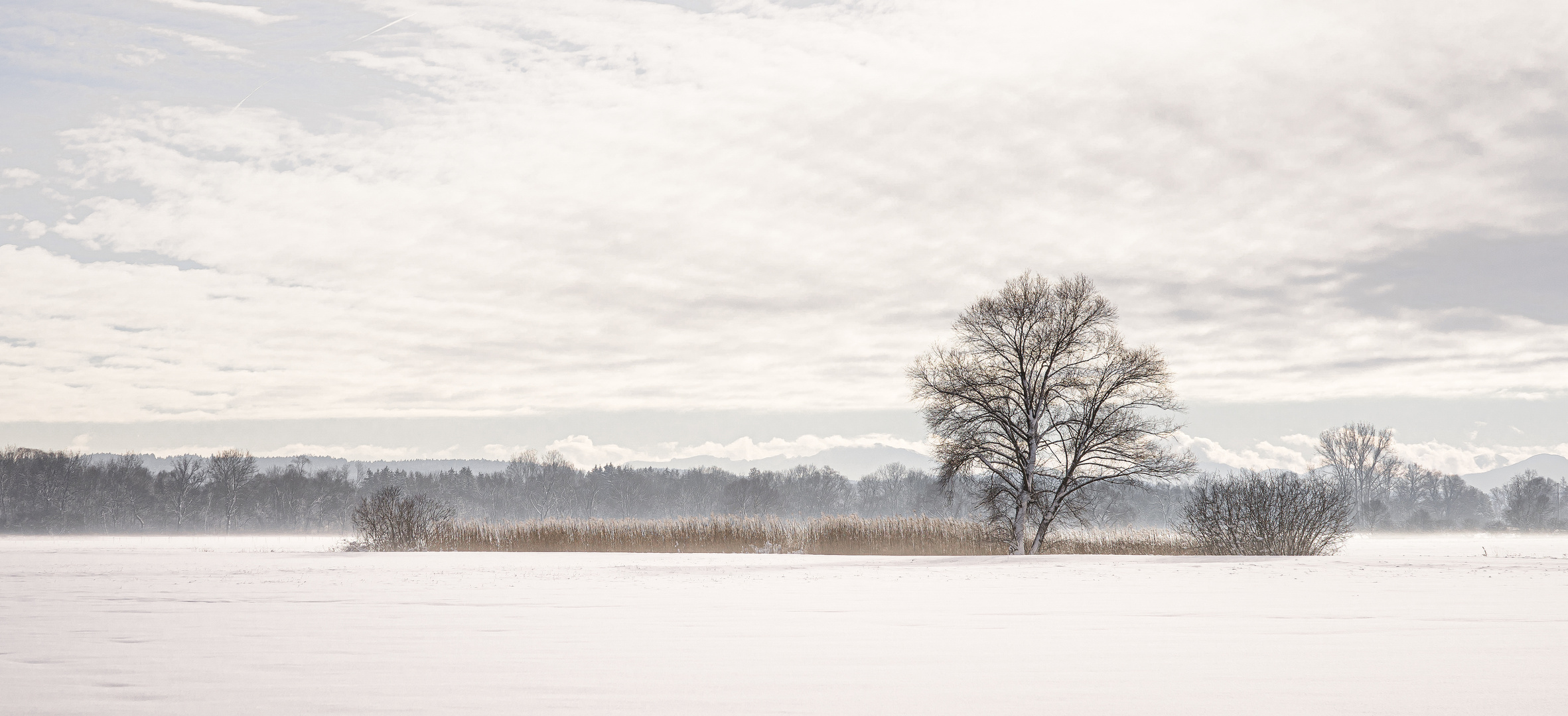 Wintergemälde (2)