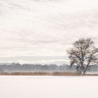 Wintergemälde (2)