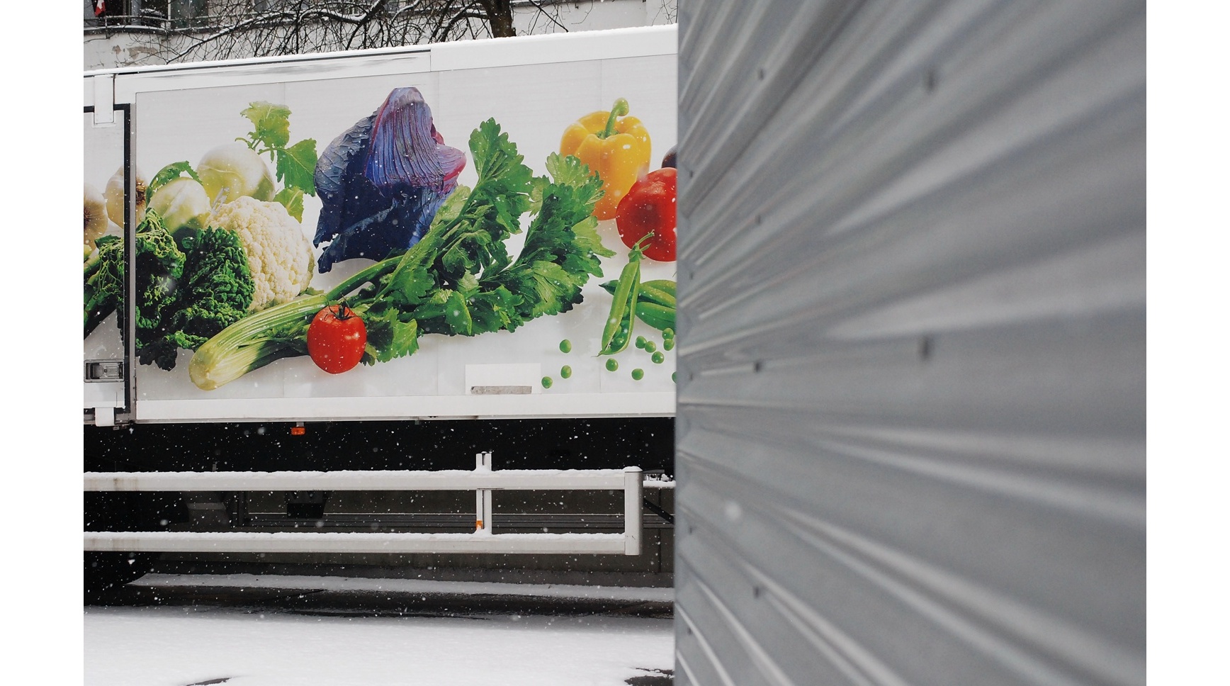 Wintergemüse in Bern Ost