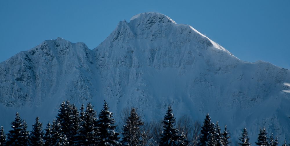 Wintergenuss aus dem Walsertal......