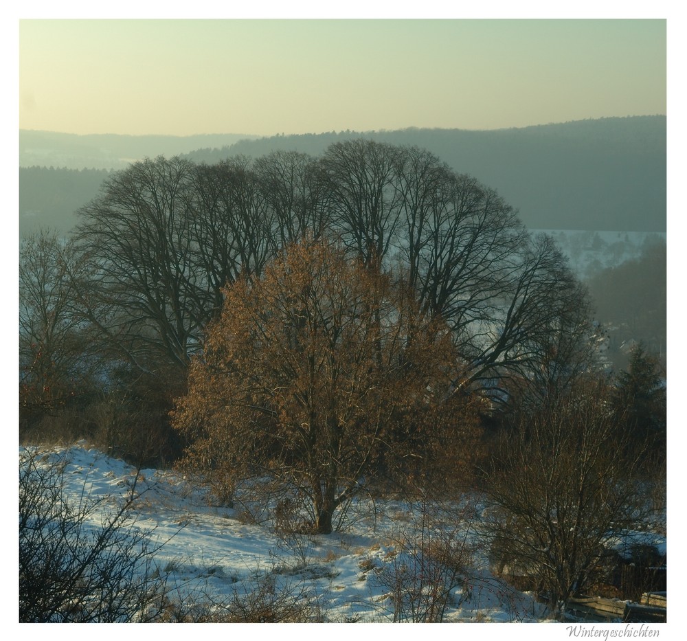 wintergeschichten (3)