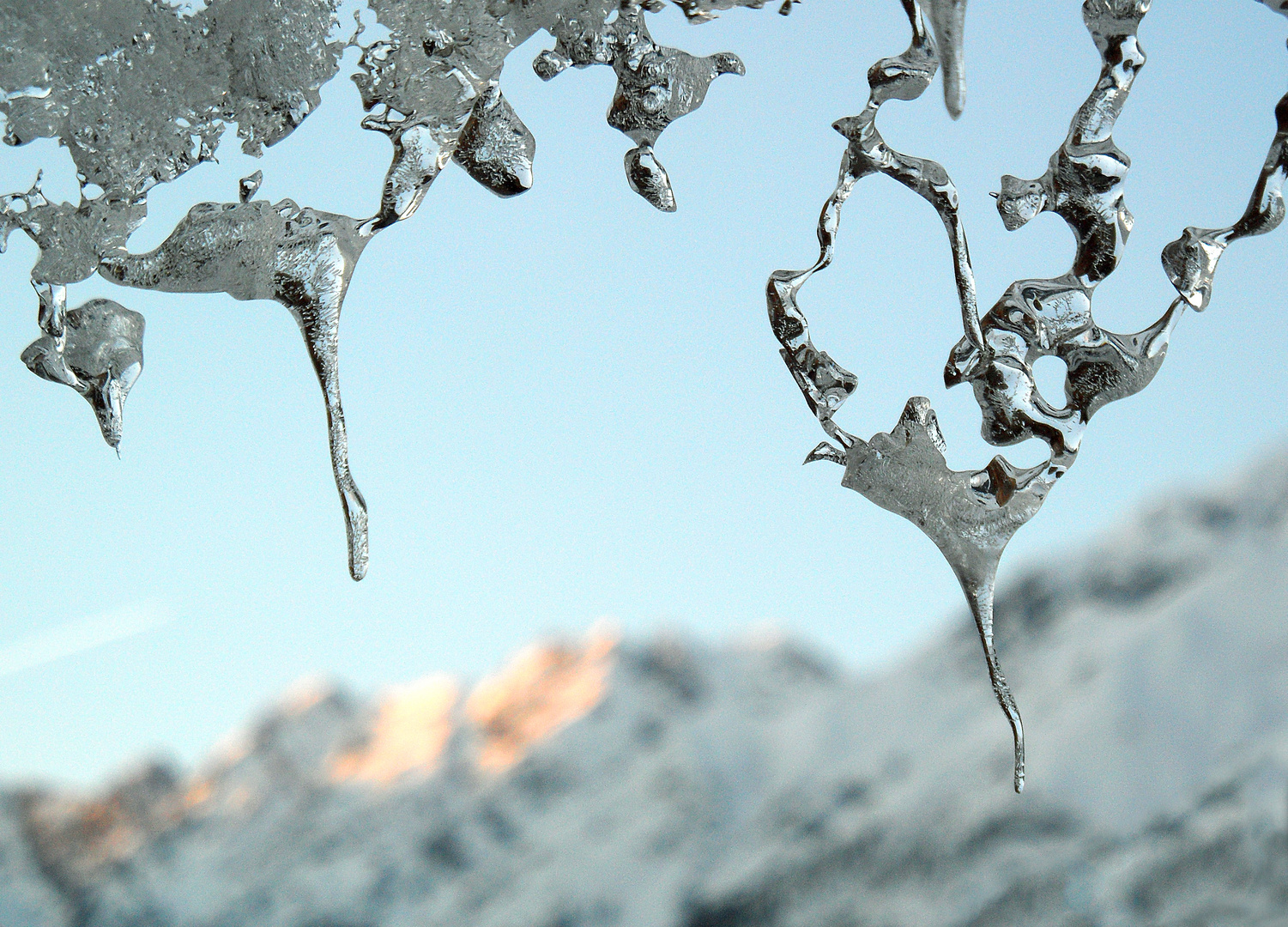 Wintergeschmeide