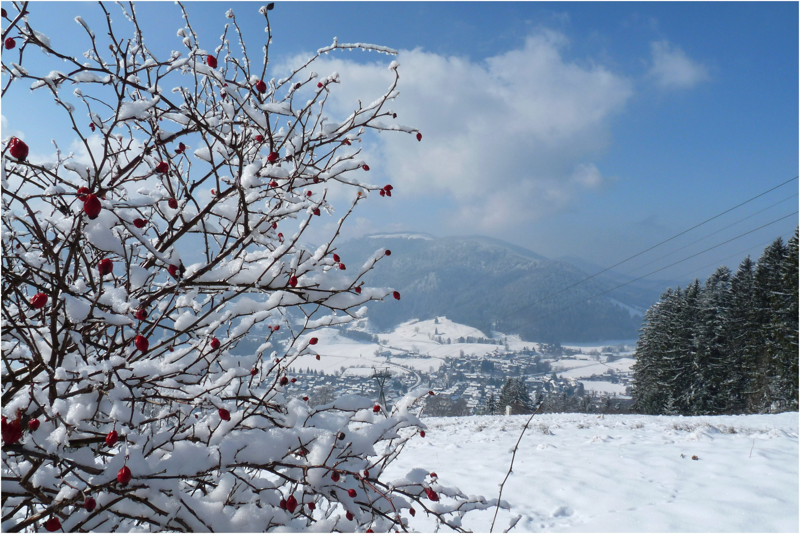 wintergeschmückt