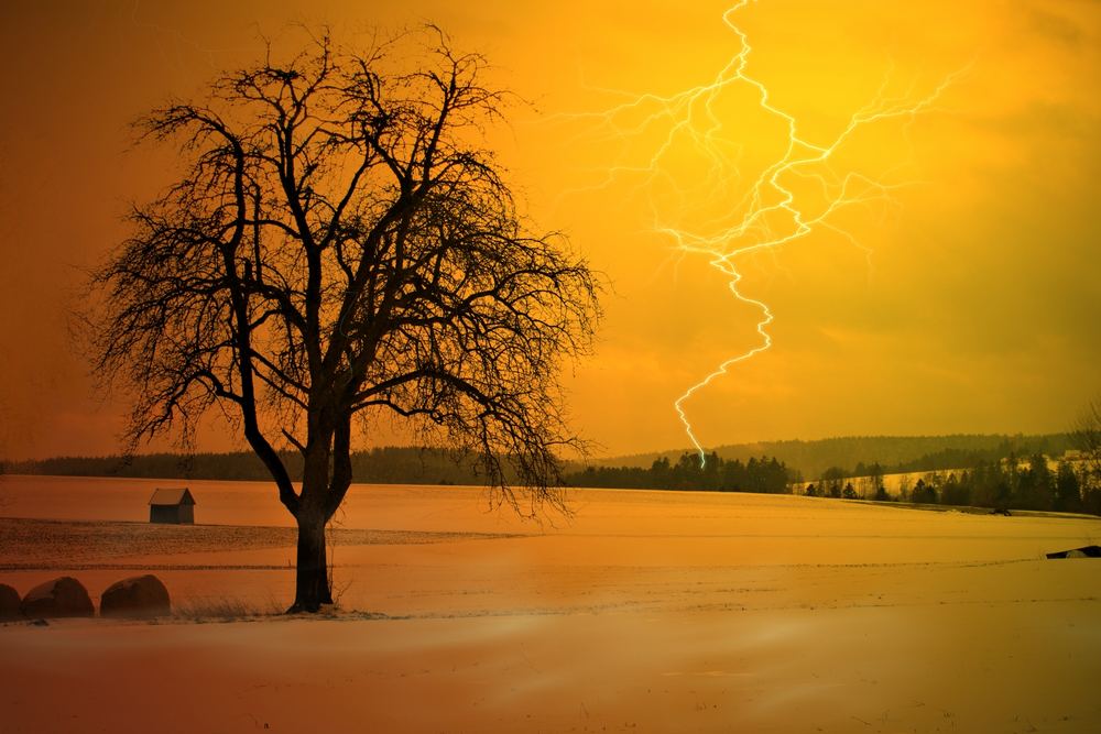 Wintergewitter im Schwarzwald