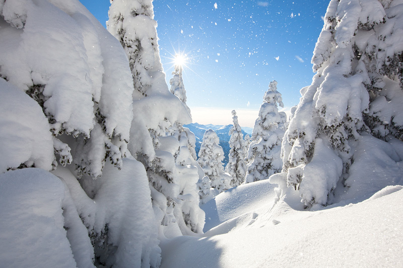 winterglück am breitenberg