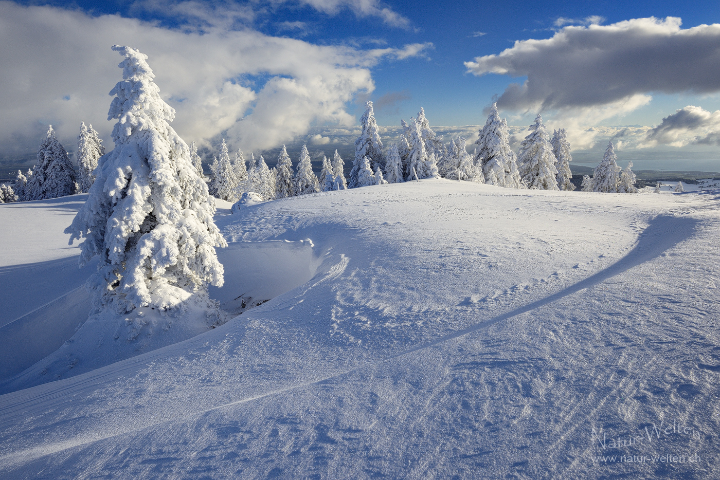 Winterglücksgefühl