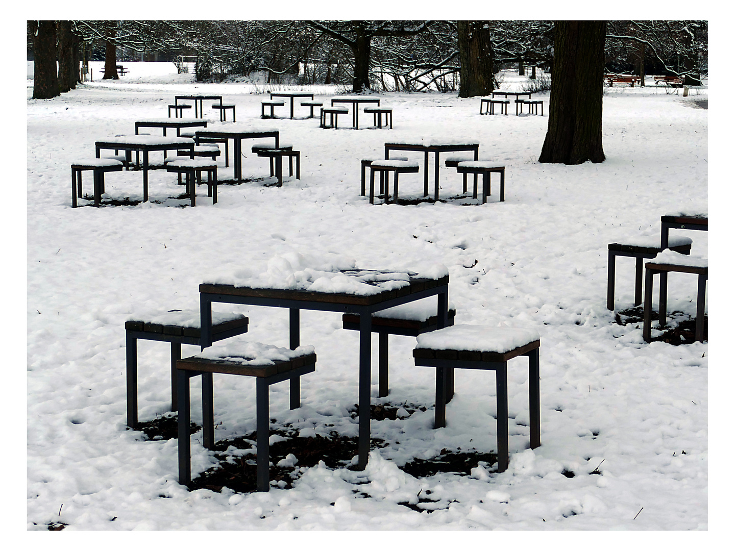 Wintergrafik im Park