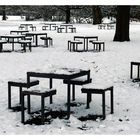 Wintergrafik im Park