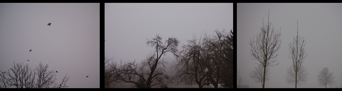 [winter]grau.