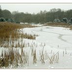 Wintergrau - Gartenreichbummel 27.2