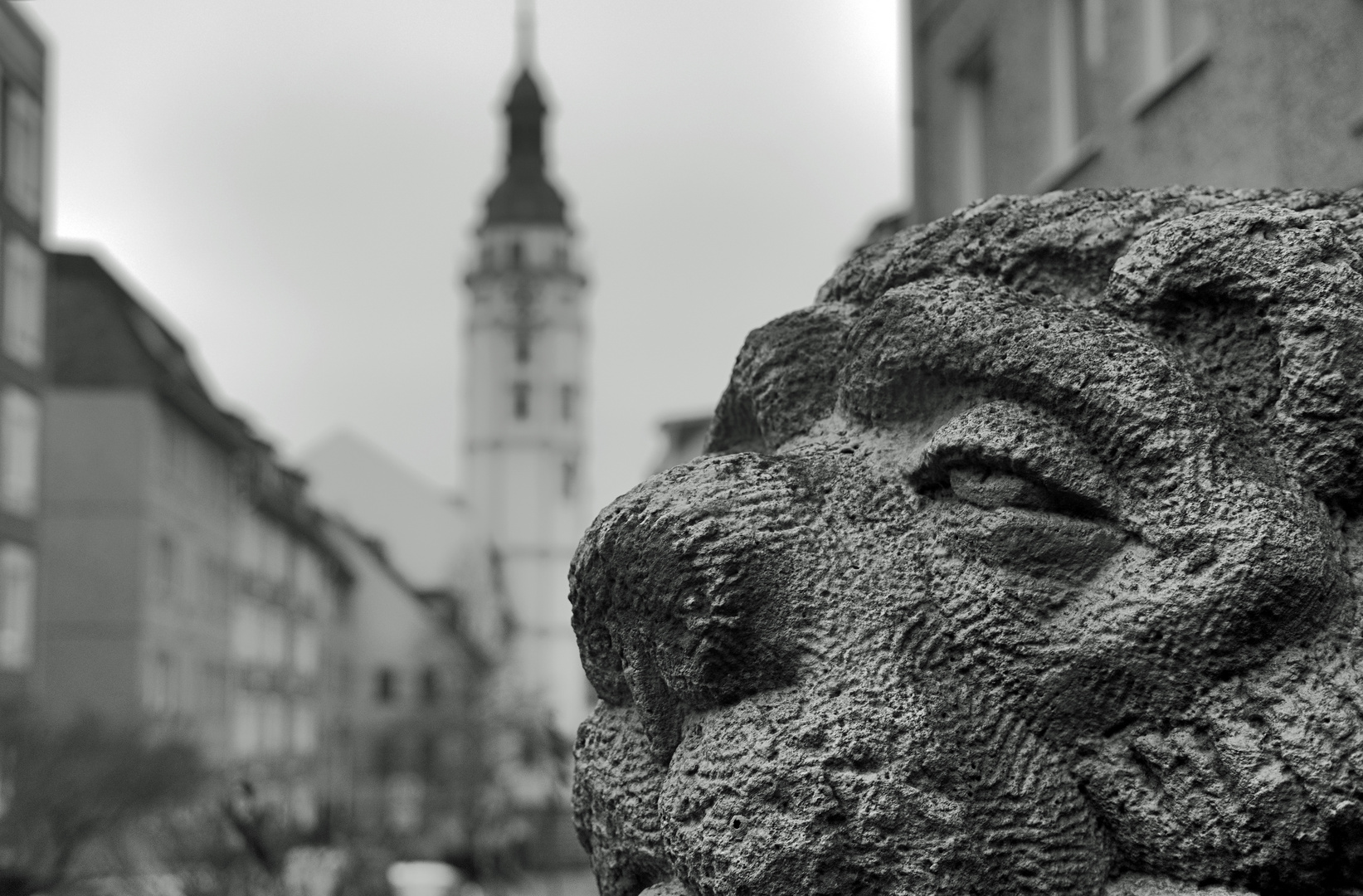 Wintergrau in der Gerschen Innenstadt 