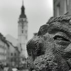 Wintergrau in der Gerschen Innenstadt 