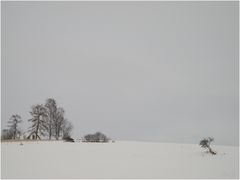 Wintergraustufen